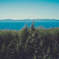 网页版电话攻击