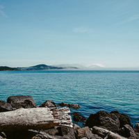 优秀的网络手机号呼叫软件免费版