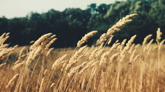 在线轰炸机免费版